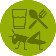Cricket Care Kit