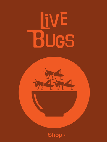 Live Bugs