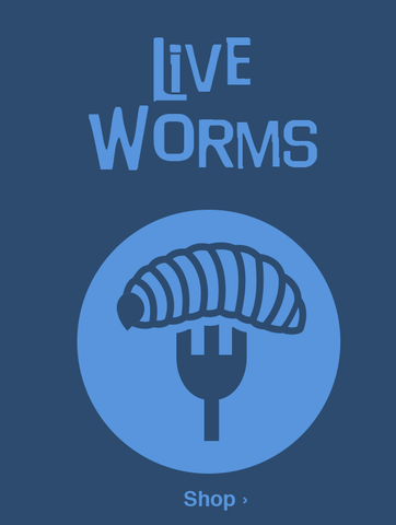 Live Worms
